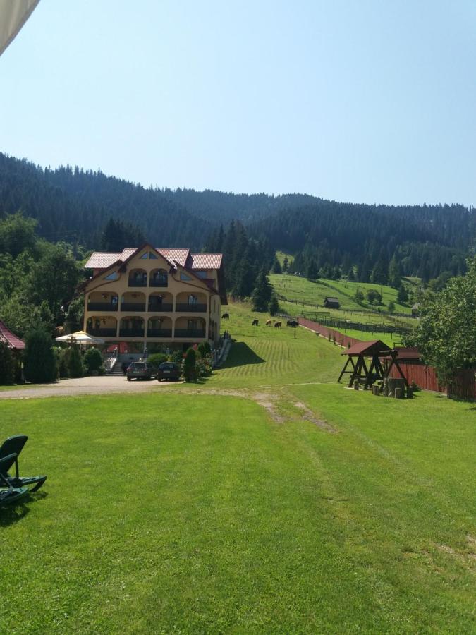 Hotel Pensiunea Alunis Sadova  Exterior foto
