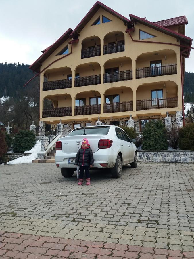 Hotel Pensiunea Alunis Sadova  Exterior foto